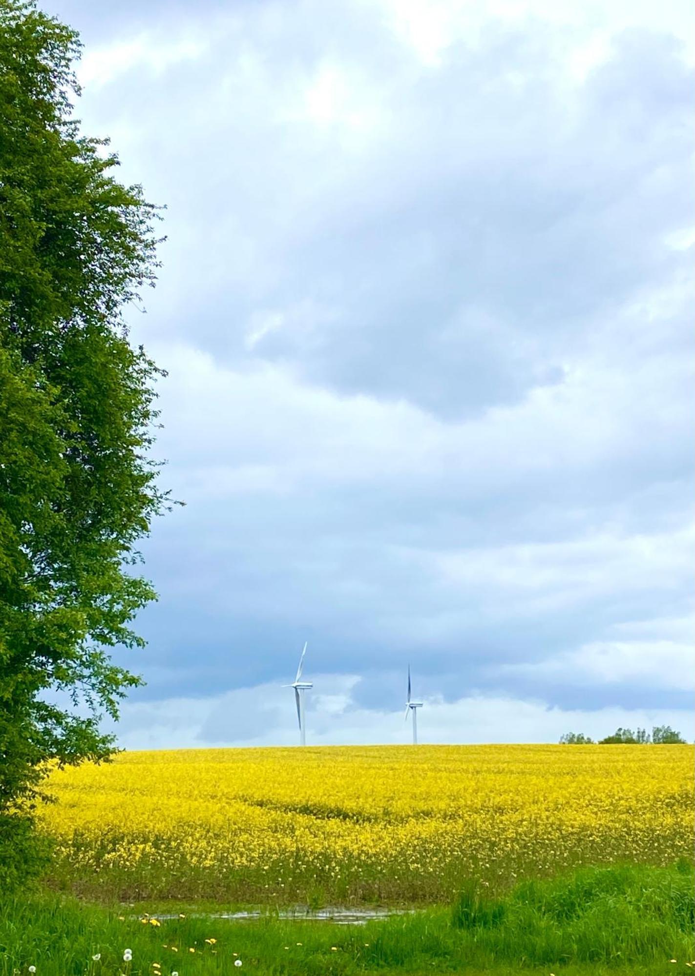 Ferienhaus Bei Engel Ahrensbok Esterno foto